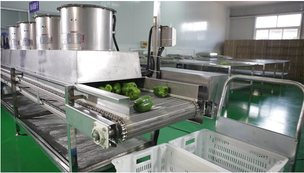 中央蜜桃视频黄色网工程圖片