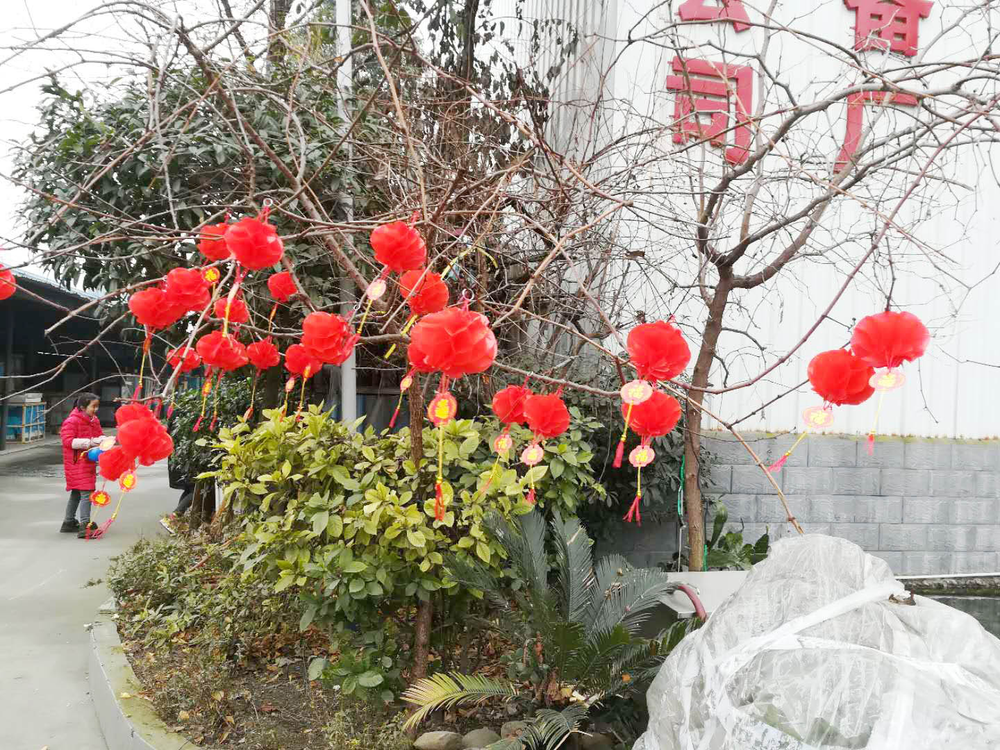 四川蜜桃视频APP下载网站蜜桃视频黄色网設備公司年會4