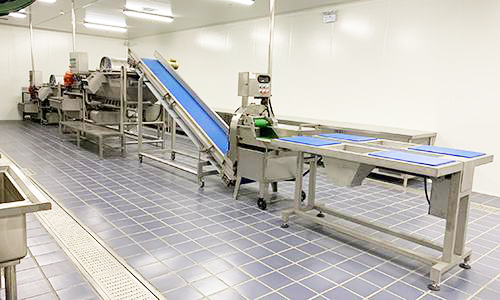 中央蜜桃视频黄色网設備1