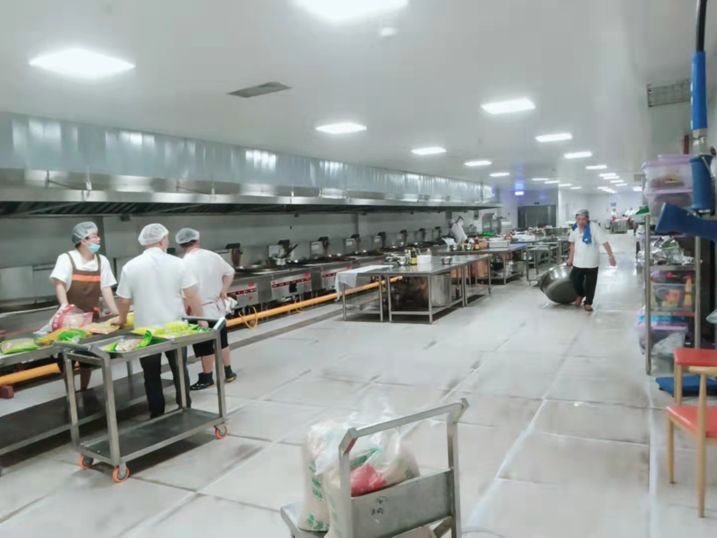 川菜商用蜜桃视频黄色网設計