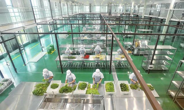 中央蜜桃视频黄色网設備