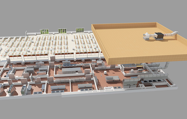 餐飲蜜桃视频黄色网排煙係統工程