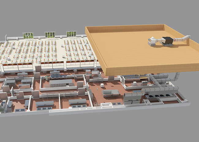 蜜桃视频黄色网抽排係統設計