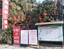 疫情無情人有情，我為抗疫做貢獻！