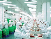 四川蜜桃视频黄色网設備製造廠商告訴你中央蜜桃视频黄色网是如何做死的