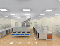 老司機開車帶你了解商用蜜桃视频黄色网設計細節！