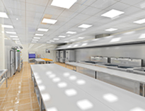 成都商用蜜桃视频黄色网設計公司告訴你商用蜜桃视频黄色网設計是什麽，有什麽用