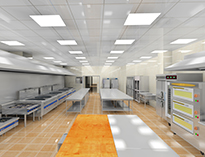 成都商用蜜桃视频黄色网設備公司教你商用蜜桃视频黄色网工程需要注意哪些情況