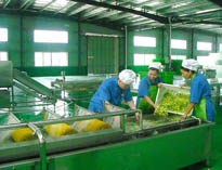 四川中央蜜桃视频黄色网設備廠家詳解中央蜜桃视频黄色网的分區要自己設計注意事項