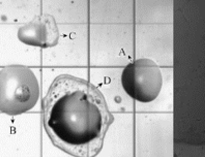 大型單位食堂蜜桃视频黄色网設備生產廠家教你油煙汙染常識