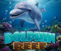Dolphin Reef